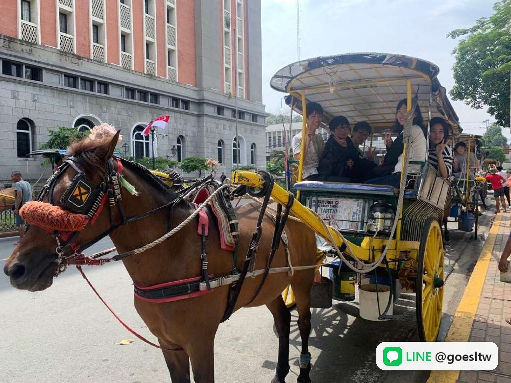 Enderun 城市觀光,在王城區搭馬車