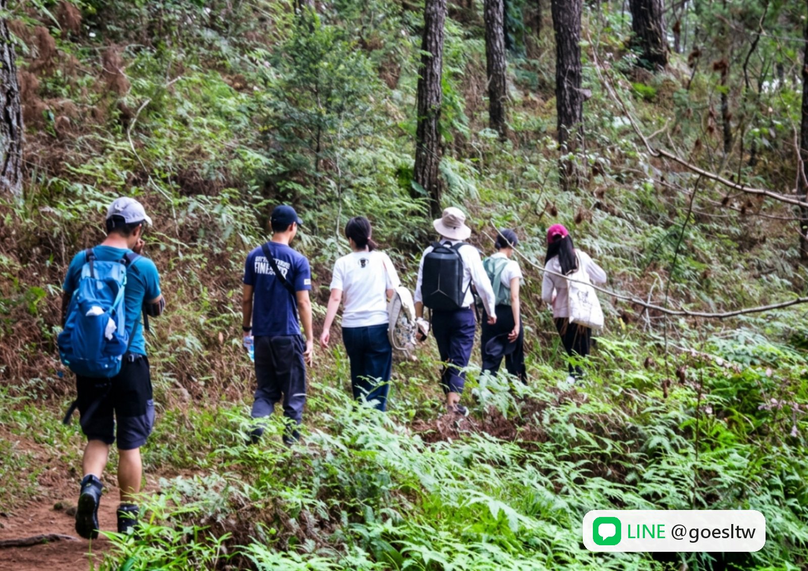 A&J 學生健行,走進松林山徑